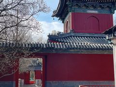 -北京艺术博物馆(万寿寺)