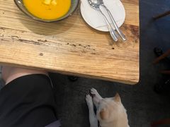 -Cyclus Craft Kitchen薩克思手工厨房
