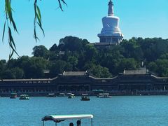 -仿膳饭庄·宫廷风味(百年传承店)