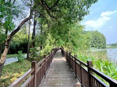 -东湖落雁景区