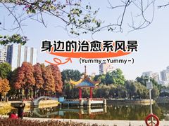 -金砂公园