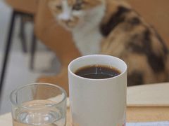 手冲咖啡-玫瑰咖啡(中山六路店)