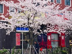 -宝山第一中心小学