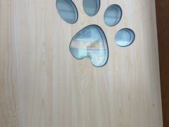 -宠颐生宠物医院外科·内科·皮肤科·影像科(石龙店)