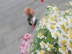 -溪岸路花鸟市场