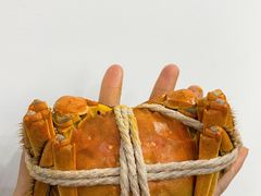 -七星龙虾城·海鲜·大闸蟹(吴江店)