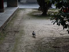 -罔极寺