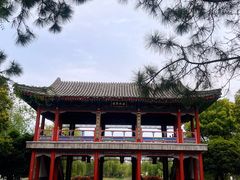 -武汉园博园(武汉自然博物馆)