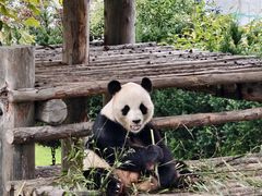 -西霞口神雕山野生动物世界