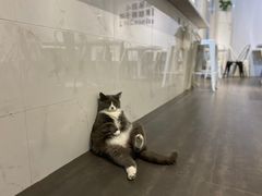 -乐果甜心·潮汕冰室(南澳后宅分店)