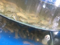 -蓝珊甄选海鲜自助·火锅大排档(近阿那亚店)