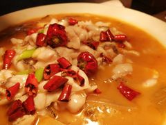-马家斑.鲜鱼火锅(松湖万科店)