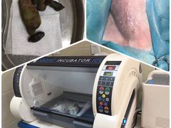 -仁华宠物医院(青羊店)