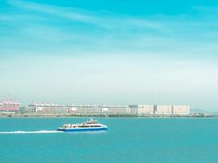 -大湾区中央湿地公园