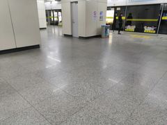 -陆家浜路(地铁站)