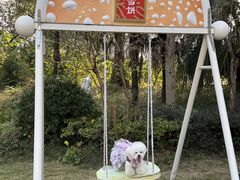 -上海神旺大酒店