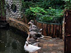 -南宫五洲植物乐园