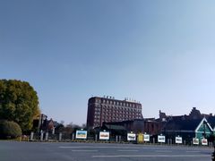 -荷兰花海