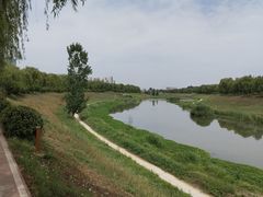 -洨河生态公园
