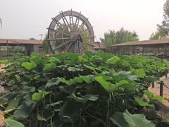 -河北村民俗体验园