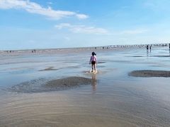 -南汇嘴观海公园