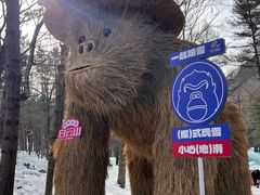 -洛阳白云山景区