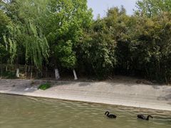 -东湖景区