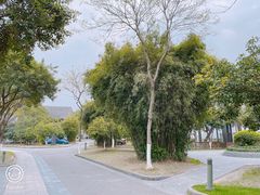 -太阳岛度假酒店