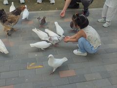 -1982农场