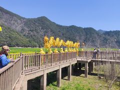 -新安江山水画廊风景区
