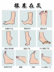 -水沐莲清瑜伽·普拉提