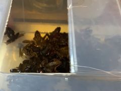 -鑫正兴东北烧烤(滨湖店)