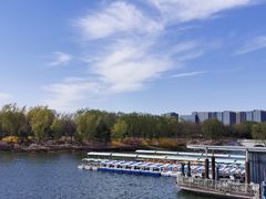 -大兴滨河森林公园