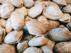 -滋粥楼·顺德菜海鲜茶点(方舟店)