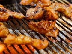 -丹东特色烤肉(学府路一部店)