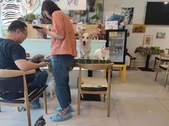 -平行世界·猫咖(首经贸店)