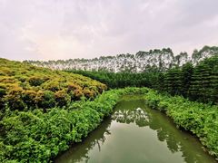 -迪茵湖田家舍生态农场