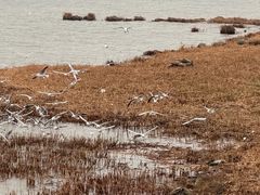 -苏州吴中太湖旅游区