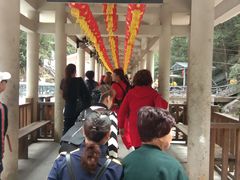 -九龙江国家森林公园