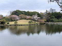 -水前寺成趣园