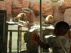 -鄂尔多斯野生动物园