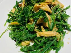丝瓜尖拌腐竹-胡大饭馆 24h(簋街总店)