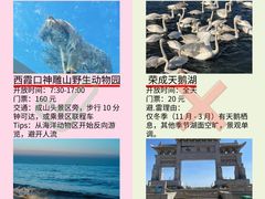 -威海华夏城景区