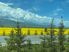 -扁都口生态休闲旅游区