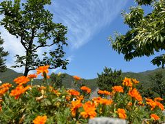 -天津盘山风景名胜区