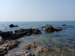 -七鲜渔港美食餐厅(巽寮湾海景店)