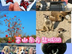 -茅山东方盐湖城景区