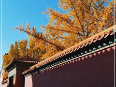 -故宫博物院(故宫)