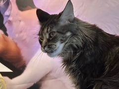 -平行世界·猫咖(首经贸店)