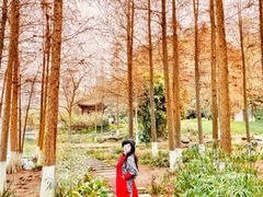 -重庆彩云湖湿地公园